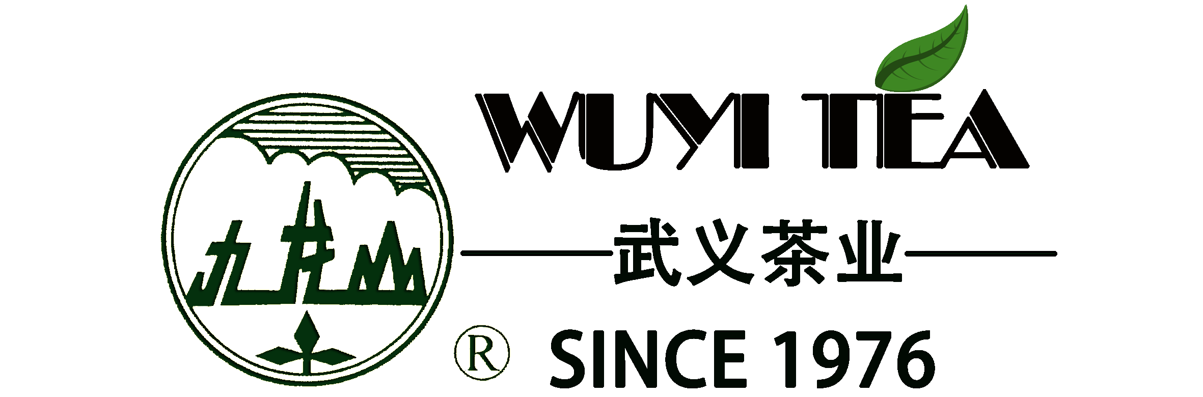 Известные поставщики чая в Китае, производители - Прямая цена с завода - JIULONGSHAN - Page 2